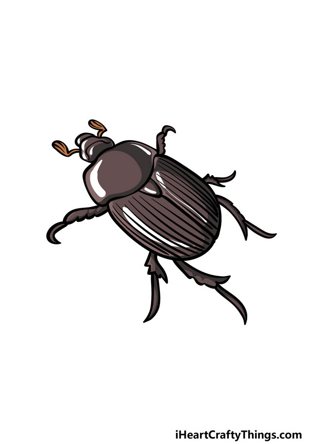 Cool Beetle Drawing