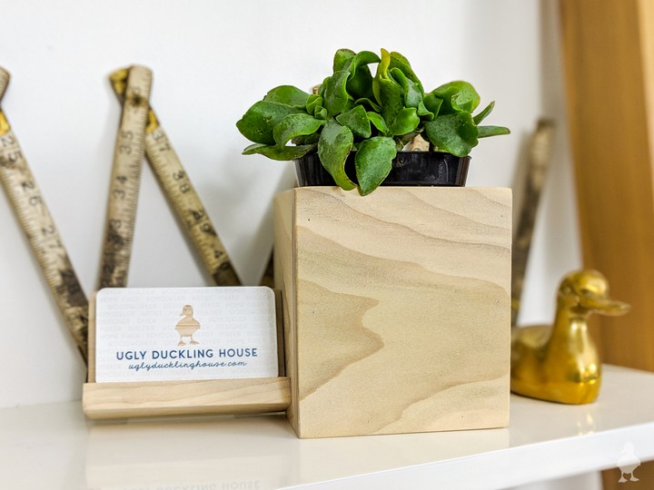 DIY Business Card Holder + Desk Planter