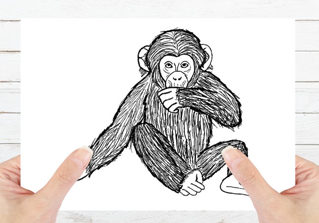 Easy How To Draw A Monkey