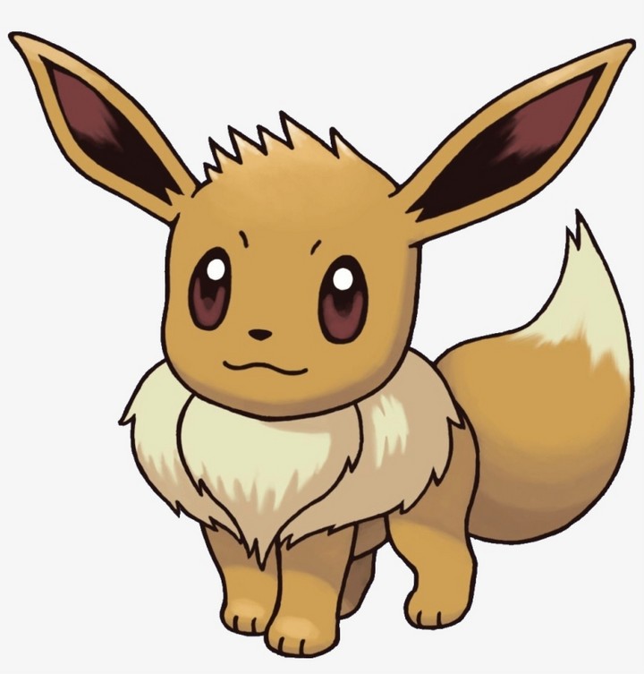 Eevee Pokemon Drawings