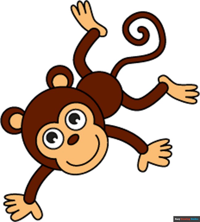 How To Draw A Monkey In Cartoon Style