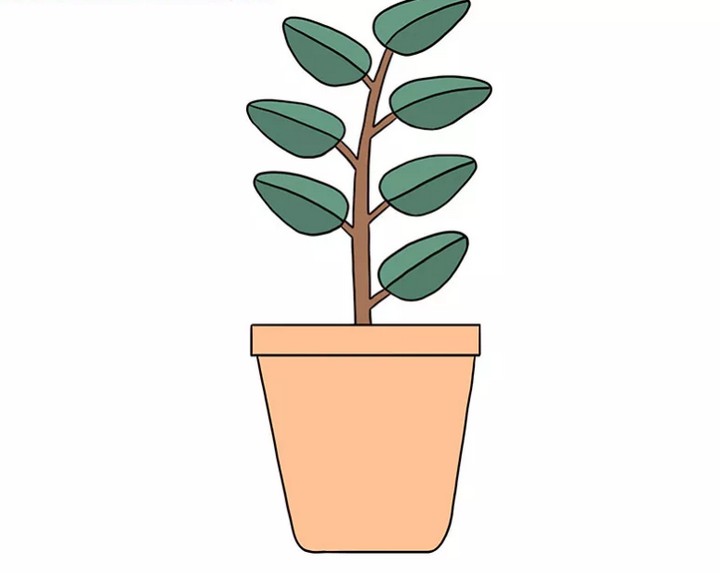 How To Draw A Plant In A Pot