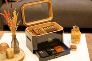 13 DIY Humidor Plans For Cigar Lovers - Julie Ann Art