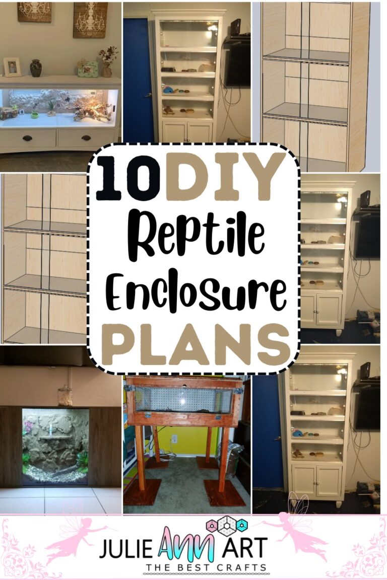 10 DIY Reptile Enclosure Plans For Pet Owners Julie Ann Art
