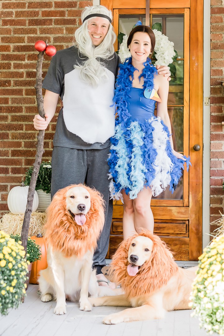 Budget-Friendly Lion King Family Costume