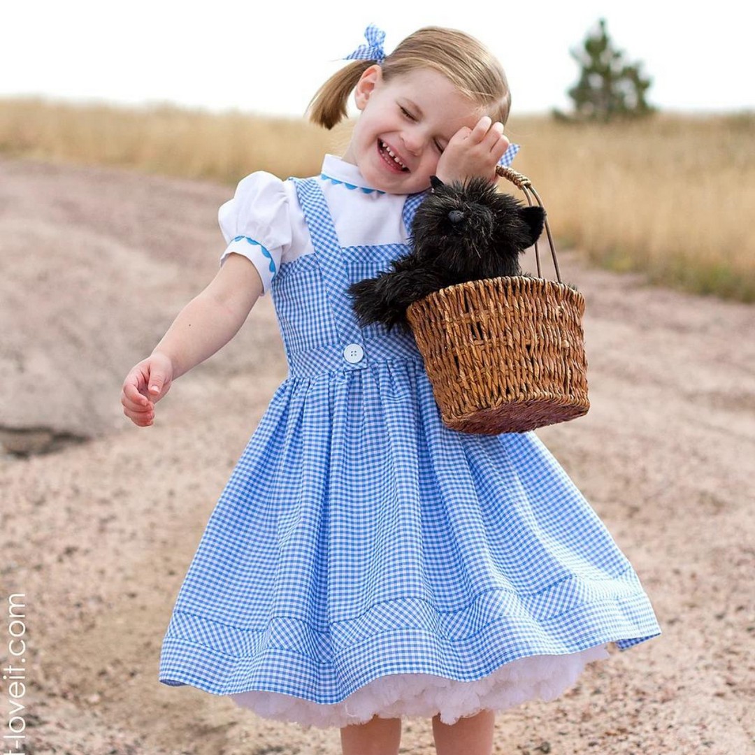 DIY Dorothy Costume Ideas