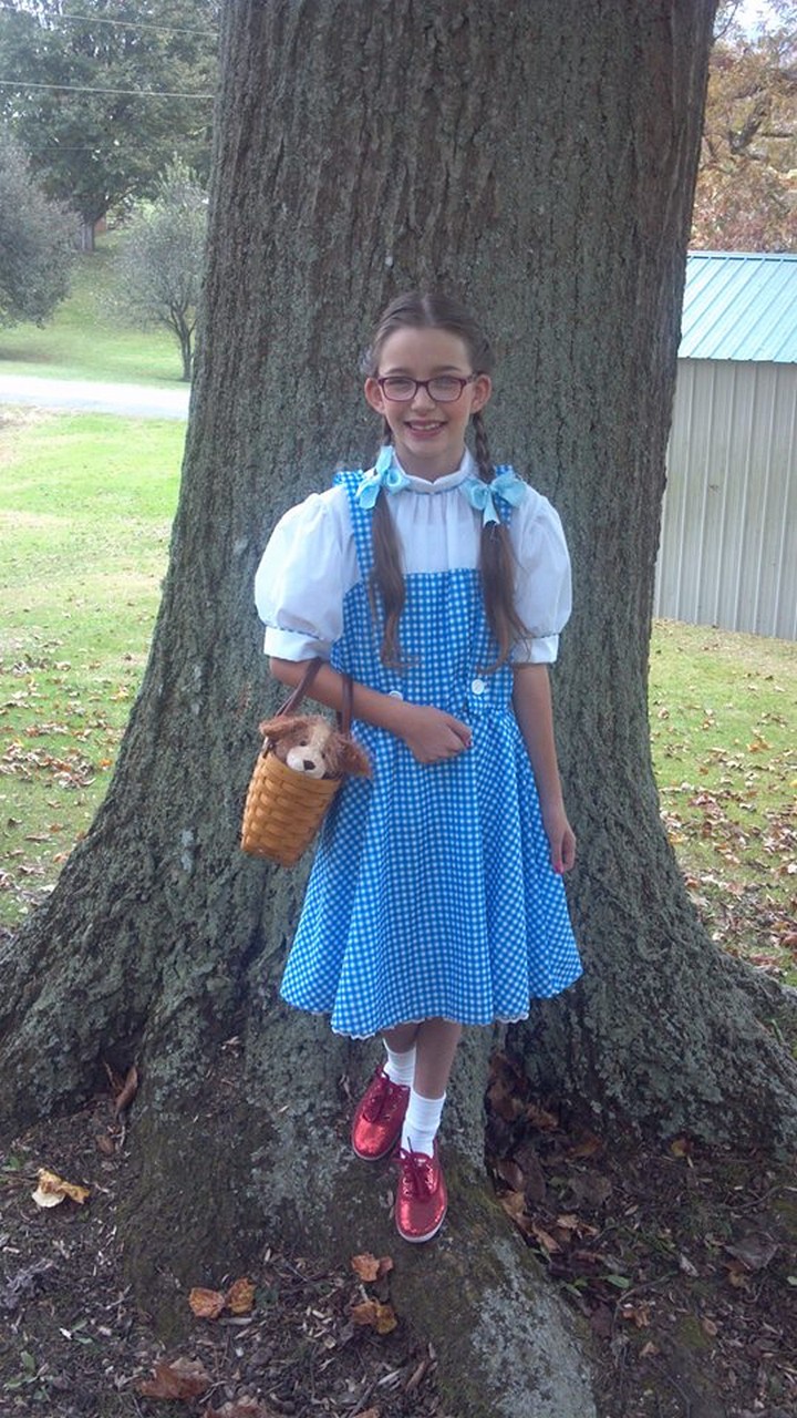 DIY Dorthy From The Wizard Of Oz Costume