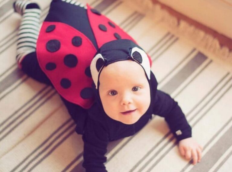 13 DIY Ladybug Costume Ideas Extra Cute Attires!