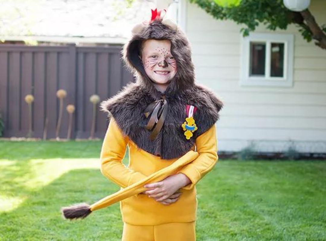 DIY Lion Costume Ideas