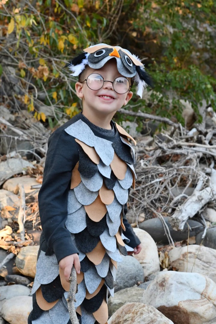 DIY Owl Costume With Cricut
