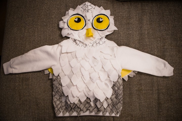  easy to make Halloween Costume