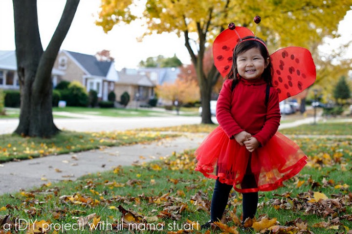 DIY Wings Ladybug Halloween Costume