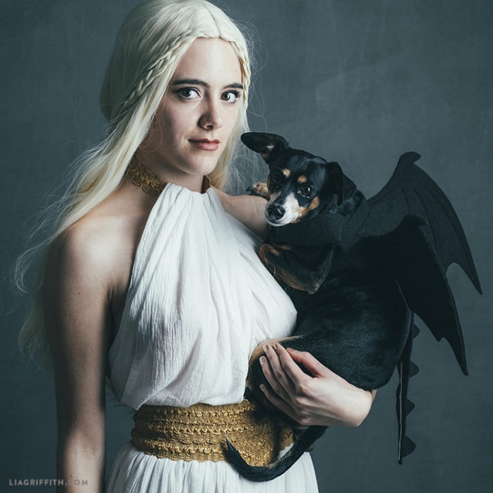 Dragon Costume For Your Dog