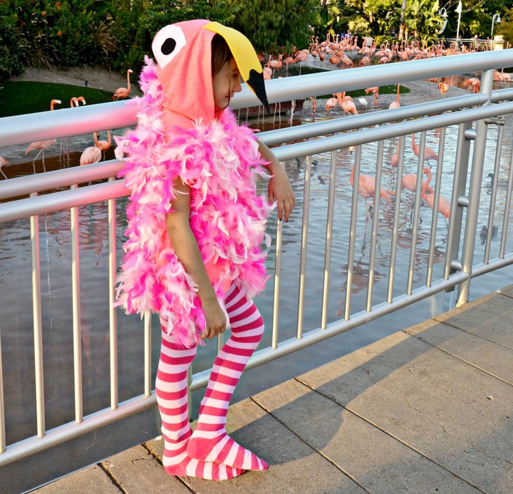 Easy DIY Flamingo Costume