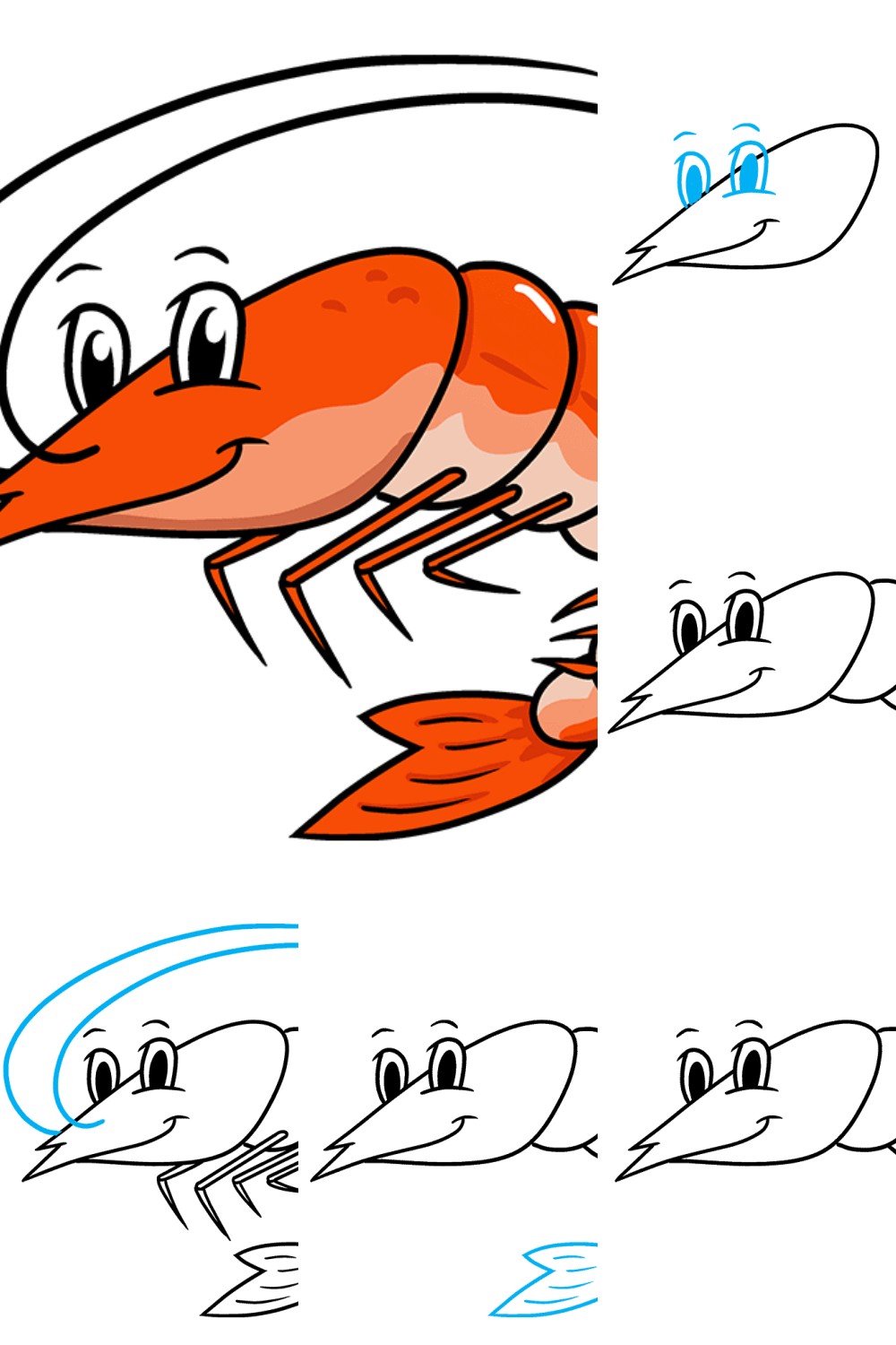 Easy How To Draw A Shrimp