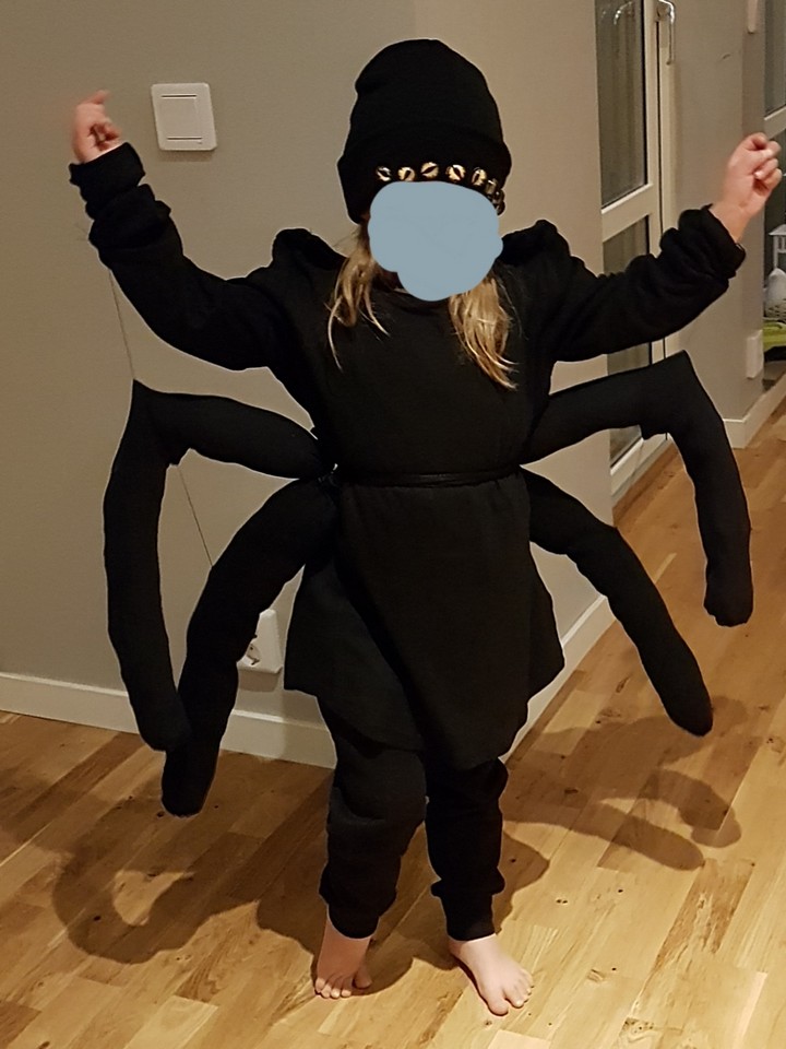Easy Spider Costum