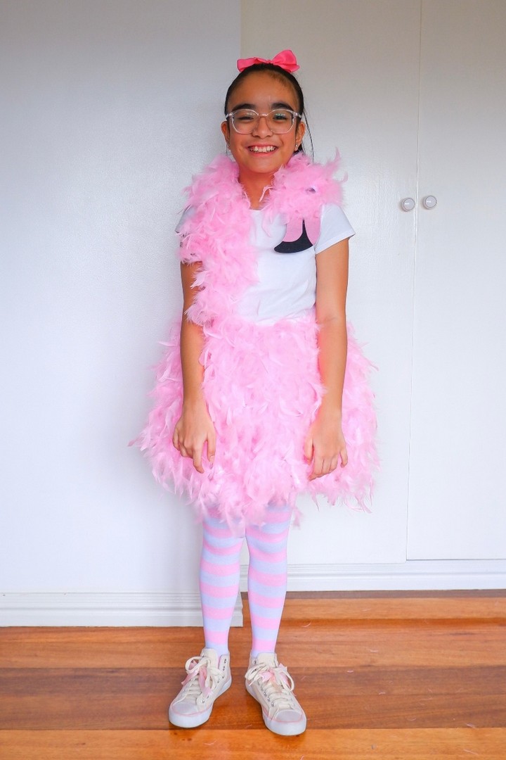 Flamingo Costume 