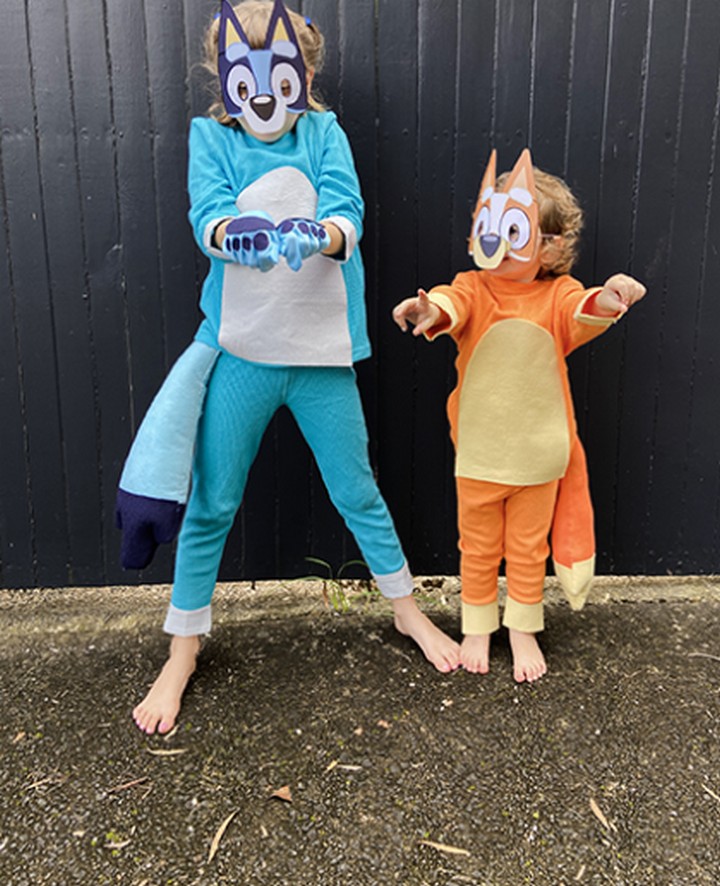 How To Make A Bluey And Bingo Costume