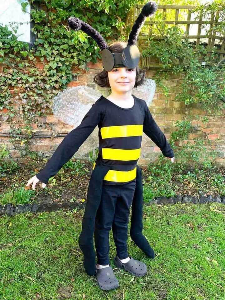 How To Make A Bumble Bee Costume