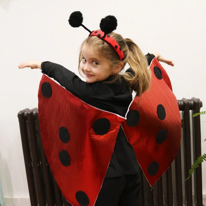 How To Make A Ladybird Costume