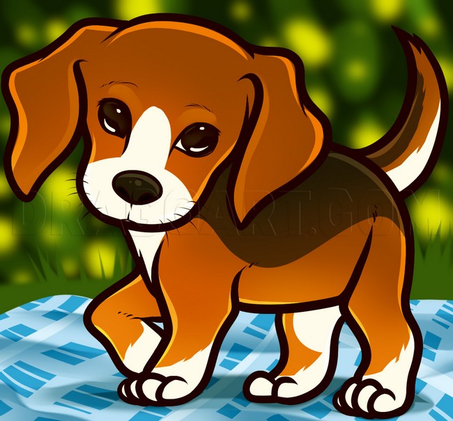How to Draw a Beagle Puppy