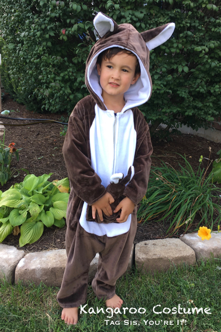 Hoodie Kangaroo Costume 
