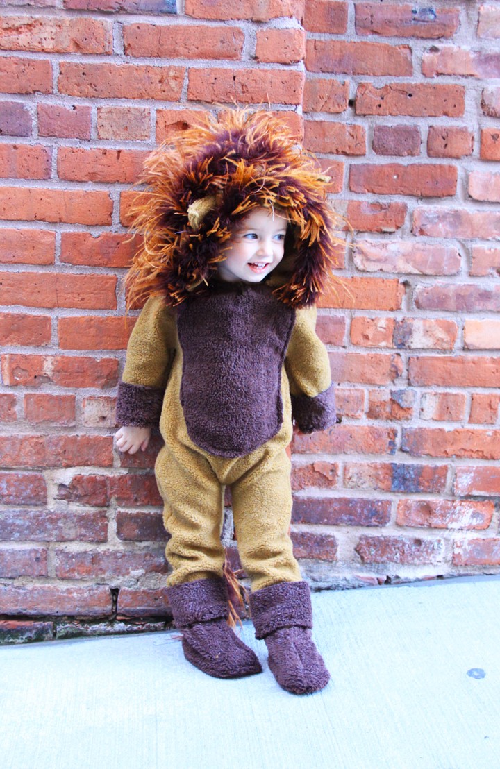 Lion Costume For KIds