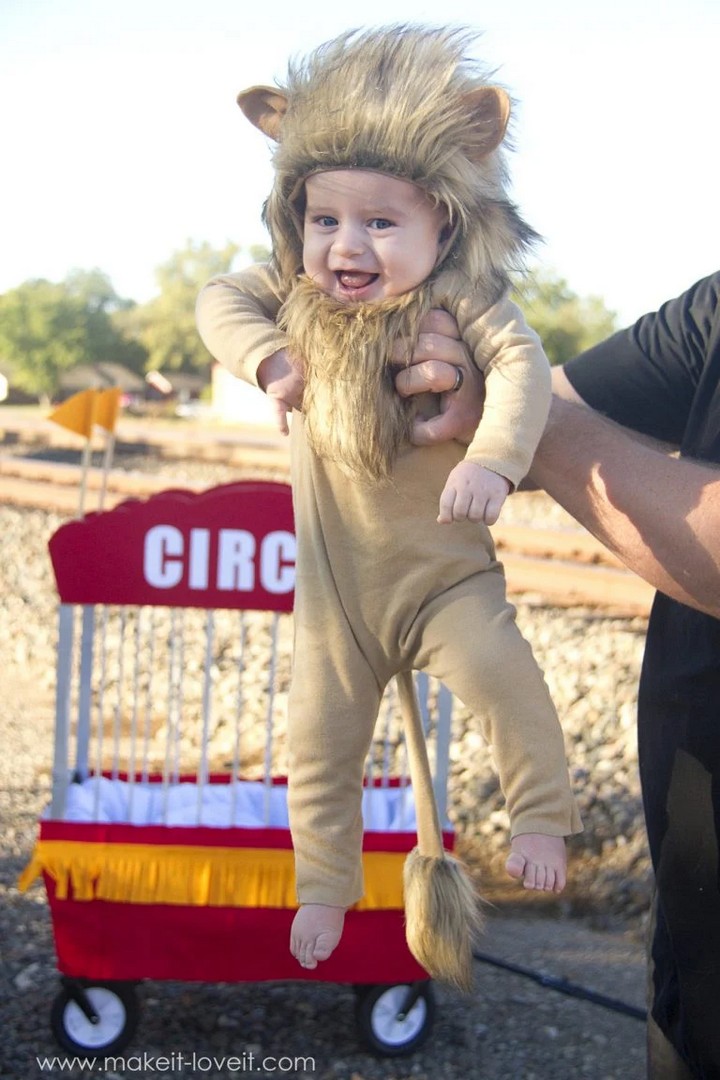 Make A Lion Circus Costume