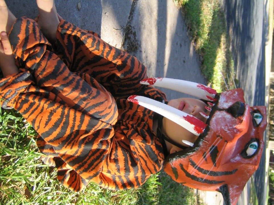 Sabre Toothed Tiger