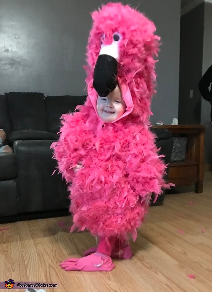 The Pink bird Costume
