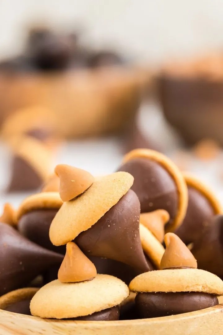 Easy Acorn Cookies
