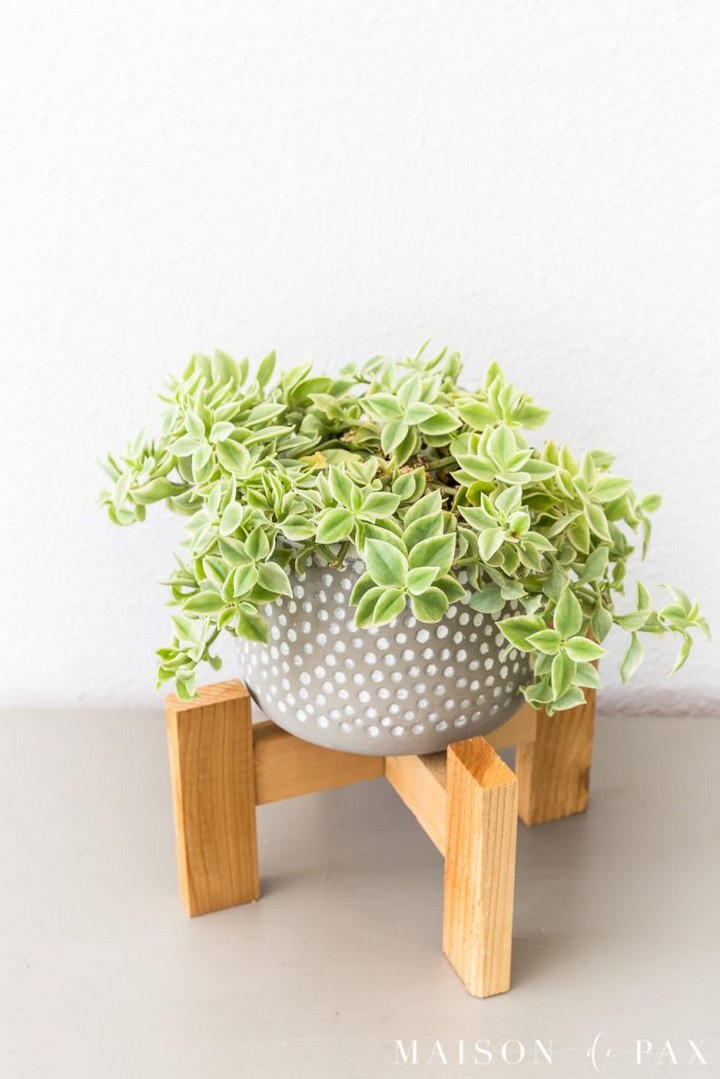 Cedar Wood Stand
