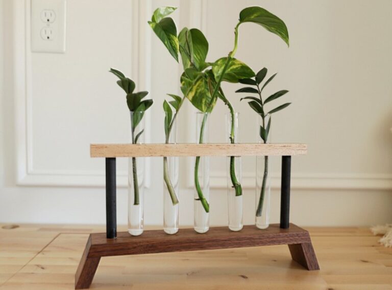 DIY Propagation Station Ideas