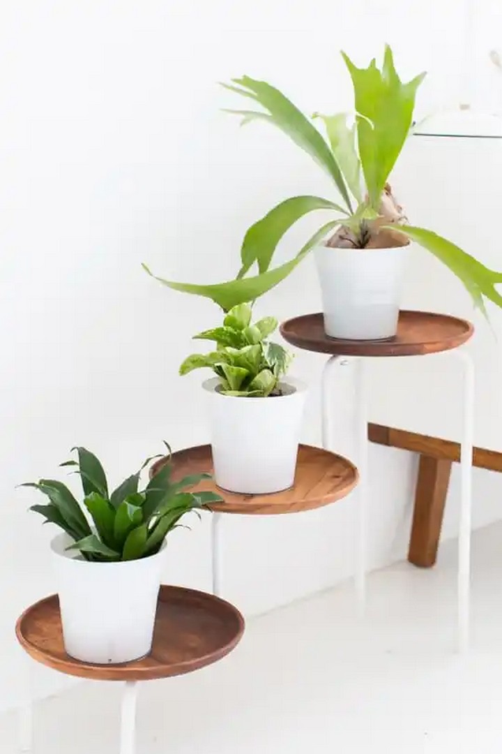 How To Make An Indoor DIY Acacia Wood Plant Stand