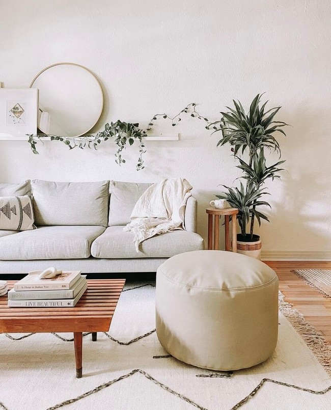 Houseplants and greenery