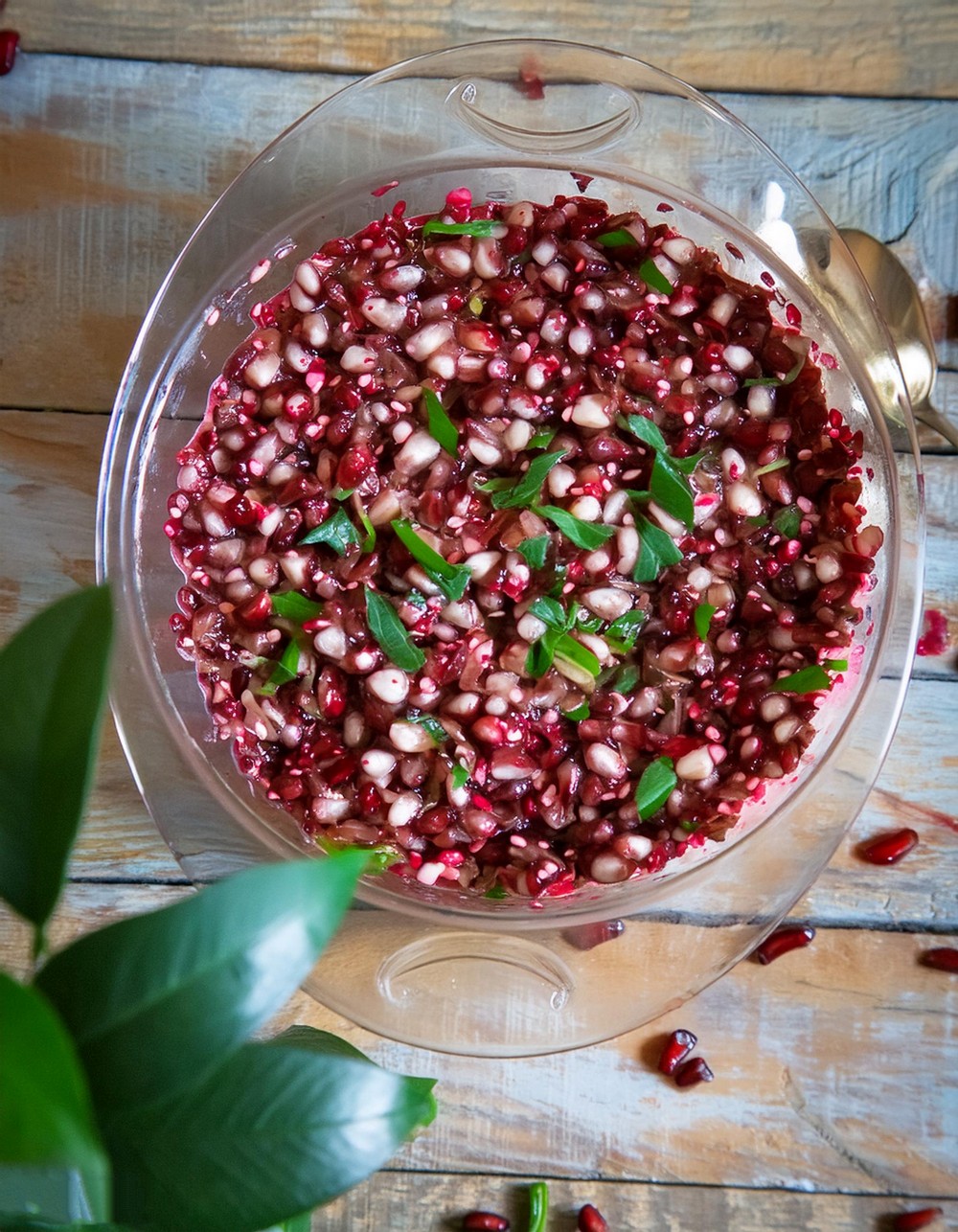 Cranberry Jalapeno Cream Cheese Dip 1