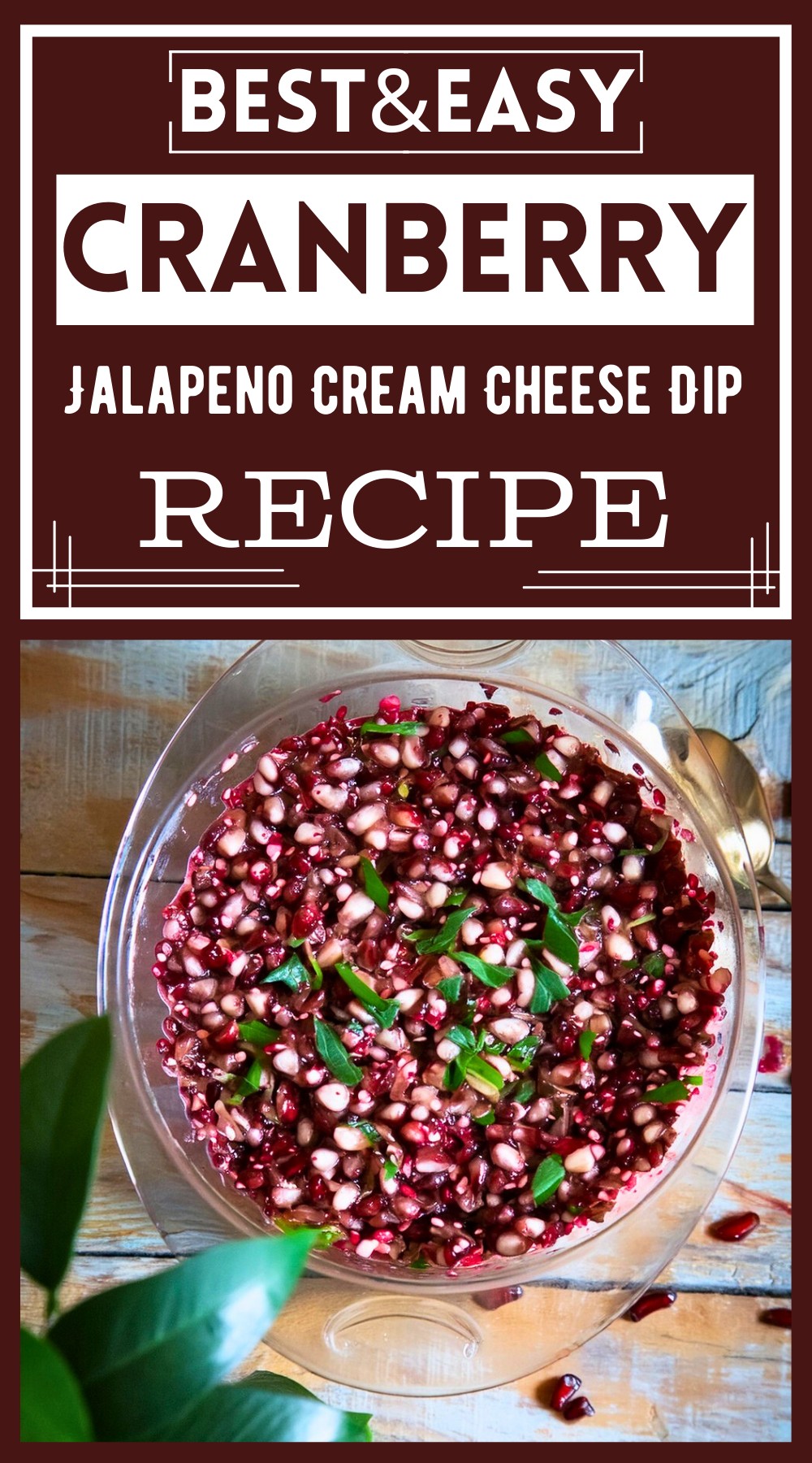 Cranberry Jalapeno Cream Cheese Dip
