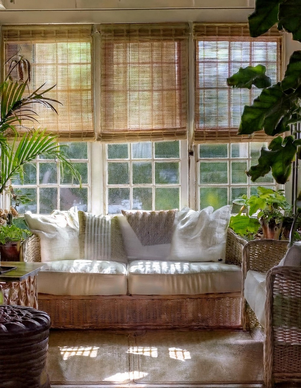 Eco-Friendly Bamboo Filters